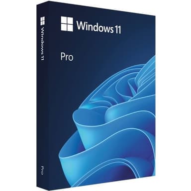 Microsoft Windows 11 Pro 64-bit CZ USB licence