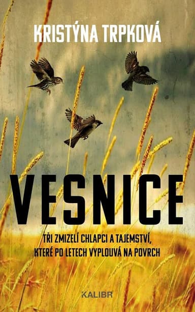 Vesnice (Laura Linhartová 2)