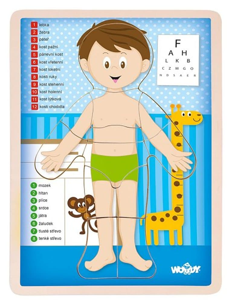 WOODY Puzzle "Lidské tělo" - Kluk CZ