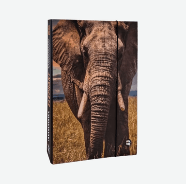 Karton PP Box na zošity A4 Slon 794623