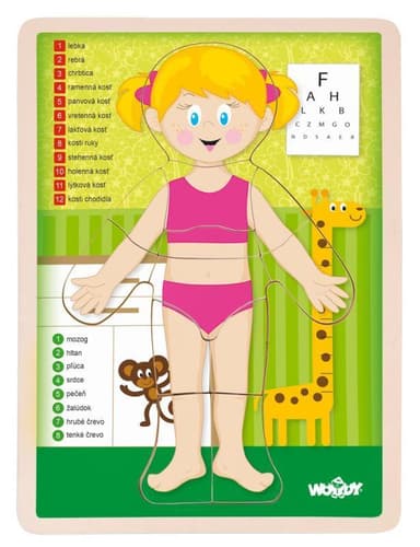 Woody Puzzle Lidské tělo - Dívka SK 102191924