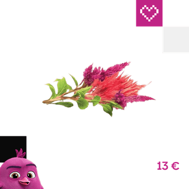 Click and Grow Nevadlec (celosia), kapsuly so semienkami a substrátom 3 ks