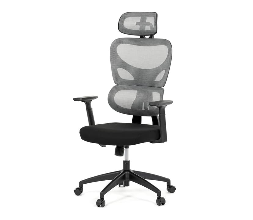 Autronic Kancelářská židle BOGELI, šedá/černá síťovina